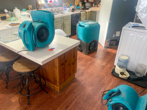 Best 24-hour water damage restoration  in Churchill, MT