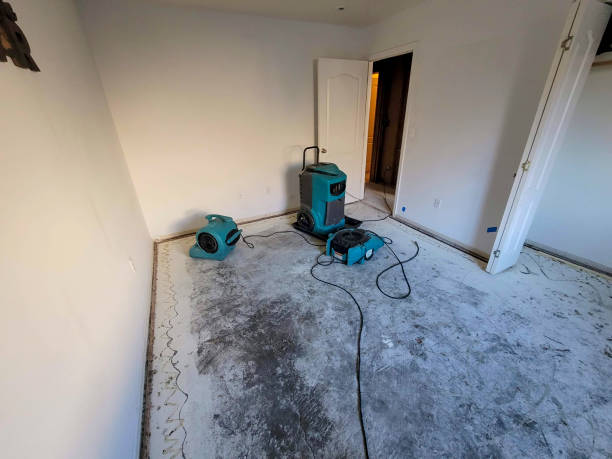 Best Local water damage restoration  in Churchill, MT