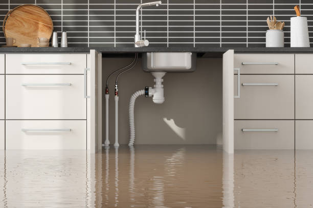 Best Ceiling water damage repair  in Churchill, MT